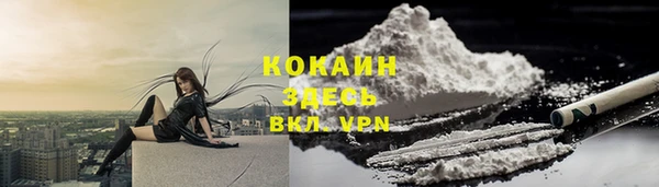 мяу мяу мука Богородицк