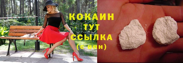 apvp Богданович