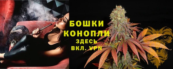 apvp Богданович