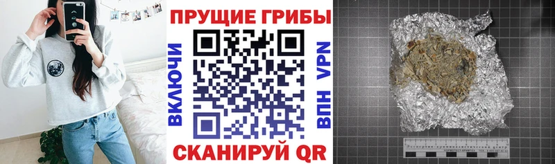 Псилоцибиновые грибы Magic Shrooms как найти закладки площадка телеграм Игра